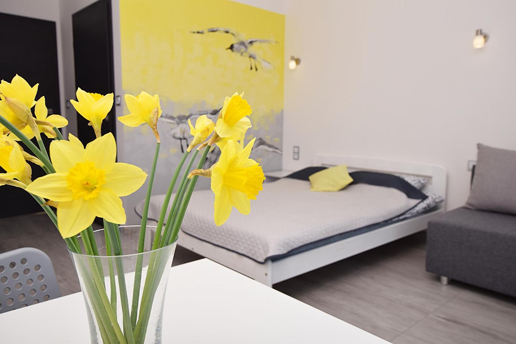 Ferienwohnung Laba Jastrzębia Góra Exterior foto